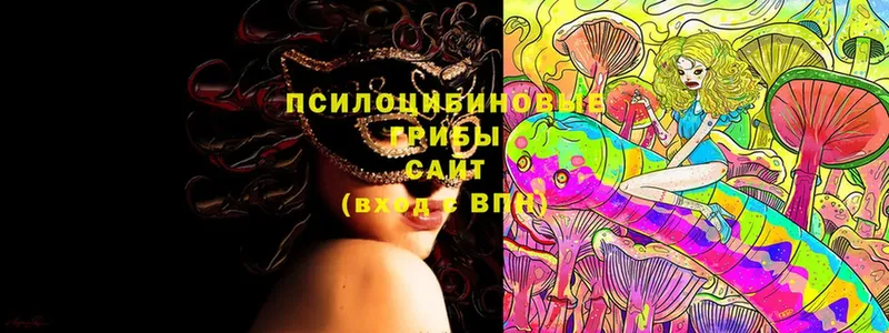 даркнет сайт  Кунгур  Псилоцибиновые грибы Cubensis 